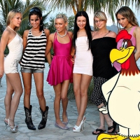 Foghorn Leghorn and his Ladies