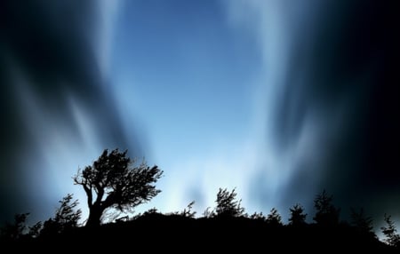 Celestial Gates - sky, gates, celestial, blue, tree