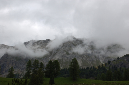 Switzerland - Mountain, Berguen, Fog, Morning