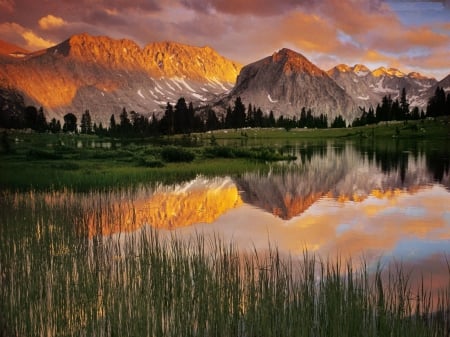 Lake Reflections - clouds, trees, water, mirror, grass, mountains, sky