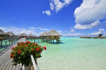 Bora Bora Water Villas - beach, paradise, water, bungalows, polynesia, bora bora, shallow, atoll, holiday, lagoon, resort, sand, ocean, islands, tropical, exotic, luxury, blue, villas, island, waters, sea, tahiti