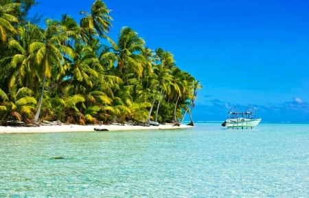 South Pacific Beach - beach, ocean, palm trees, paradise, tropical, exotic, french, polynesia, island, lagoon, south pacific, sea, sand