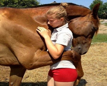 The bond - woman, horse, girl, fulfillment, bond, trust, friendship, very beautiful