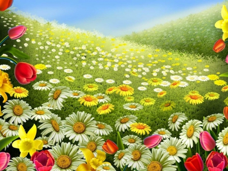 Beautiful flowers - flowers, fields, art, grass