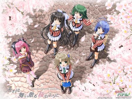 School Friends - school uniform, cheery blossoms, sakura, anime, school girl