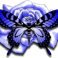 bluebutterfly roze