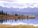 mount tundra and wonder lake  denali national park  alaska