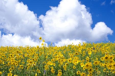 Nature beauty landscapes - nice, sky