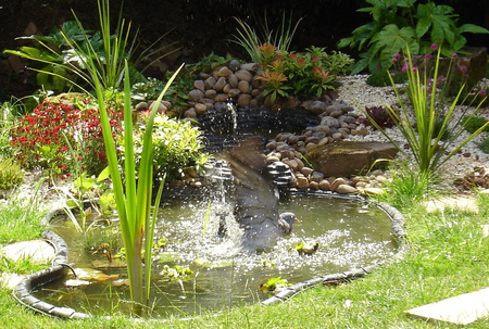 Low altitude - nature, gardens