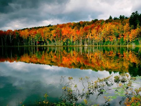 StormCloudsAndFallColorAtRedJackLakeHiawathaNationalForestMic - landscape, beauty, nature