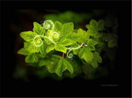 Green Leaves - swirly vines, on black, green leaves