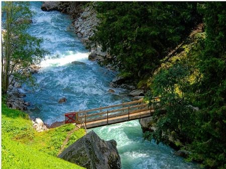 	little bridge - bridge, grass, little, river