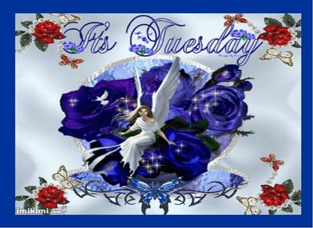 It's Tuesday - tuesday, roses, dove, blue frame, angel, butterflies