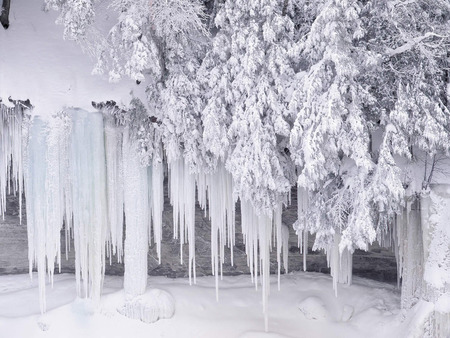 deep winter - ice, trees, white, nature, cold, snow, peaceful