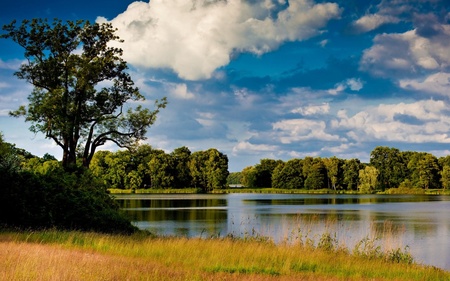  Neue Garten in Potsdam - lake, tree, clouds, grass