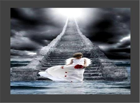 Down From Heaven - heaven, water, red rose, angel child, steps, petals, sky