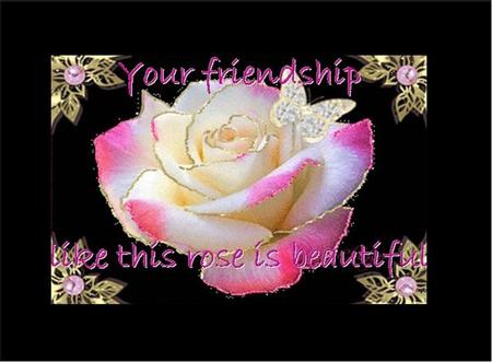 Like this rose - butterfly, two toned rose, friendship, saying, pearl