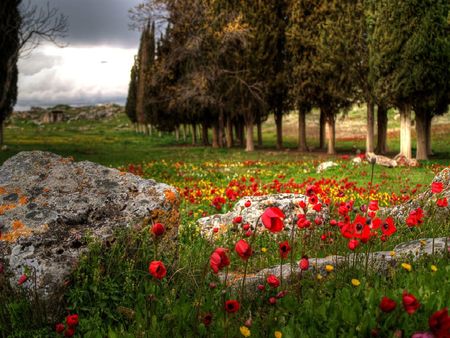 	Turkei   Hierapolis - hierapolis, turkei