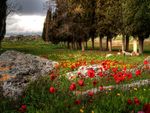 	Turkei   Hierapolis