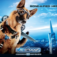 Movie - "Cats and dogs"