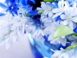 Marvelous Blue Flowers