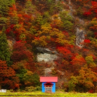 Autumn Japan