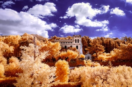 House - sky, trees, red, tree, house, photo