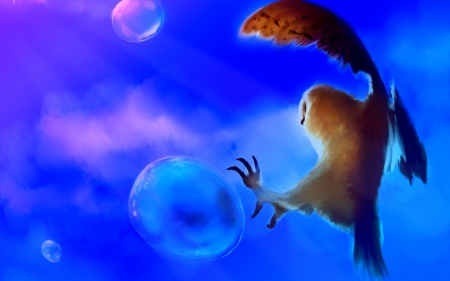 Catching bubbles - water, wings, bubbles, fantasy, bird, brown, pink, blue, feather, owl