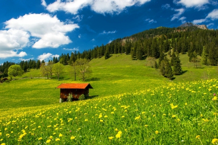 Mountain house - nice, cottage, slope, sky, trees, greenery, meadow, clouds, house, grass, mountain, summer, lovely, nature, lonely, beautiful, flowers, cabin