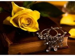 yellow rose