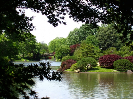 Japanese garden - water, nature, garden, bridge, japanese