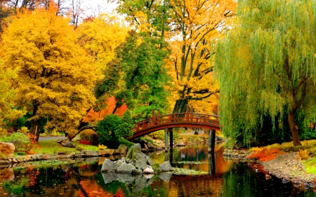 Japanese garden in Wroclaw - nice, autumn, trees, colorful, clear, mirrored, japanese, foliage, crystal, quiet, calmness, garden, pond, bridge, branches, wroclav, lake, park, poland, silent, shore, lovely, serenity, willow, tranquility, beautiful, leaves, silence