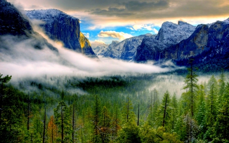 YOSEMITE in FOG - trees, mountains, fog, Yosemite National Park