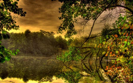 CALM LAKE - sky, lake, reflection, branches, nature