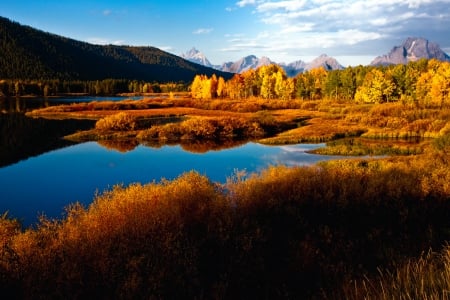 Sunrise Along the Snake River - autumn, trees, water, mountains, plants