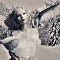 Owl Friend