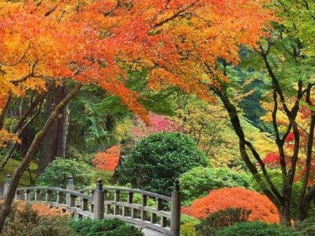 Japanese Garden in the Autumn - nature, garden, autumn, japanese