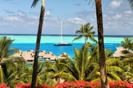 Bora Bora View - palm trees, ocean, aqua, islands, paradise, vista, tropical, exotic, polynesia, view, bora bora, blue, lagoon, island, sea, tahiti