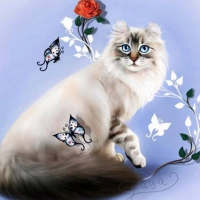 Cat for Triangiel