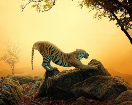 Relaxing in the wild - relaxing, wild, rock, pose, tiger