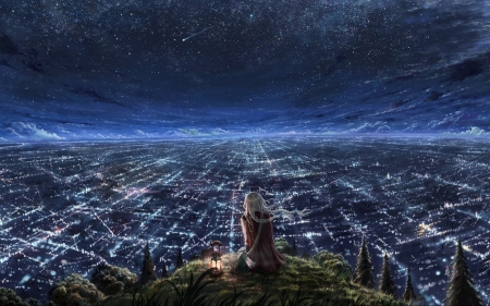 city at night - sky, lights, city, girl, stars, night