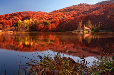 Autumn lake - quiet, cabin, grass, reflection, crystal, leaves, calmness, shore, lake, nice, cottage, sky, house, trees, beautiful, mirrored, colors, lovely, lakeshore, colorful, river, nature, autumn, serenity, foliage, silent