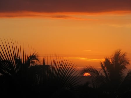 Beautiful Sunset - palm trees, ocean, beach, paradise, tropical, sunset, exotic, polynesia, evening, bora bora, island, twilight, orange, dusk, sea, tahiti