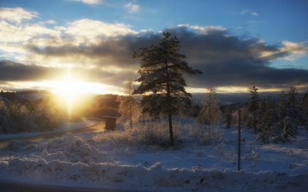 bus stop on a lonely road in a winter sunset - bus stop, trees, clouds, winter, sunset, road