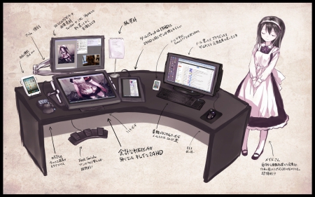 maid - girl, anime, maid, computers