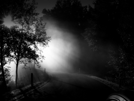 Morning Mist - abstract, bw, dark, photo