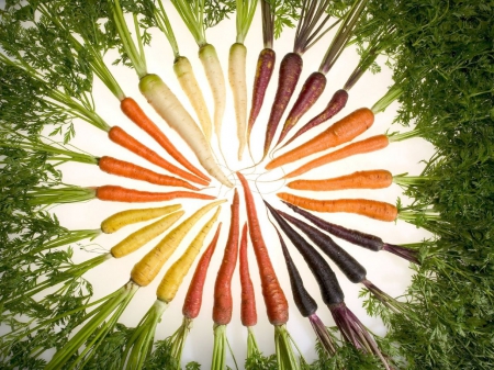 ~World Of Carrots~ - nature, carrots, vegetable, fruit