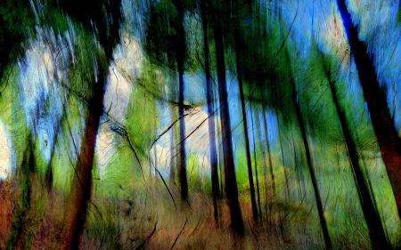 Abstract Trees - forest, trees, abstract, effect