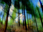 Abstract Trees