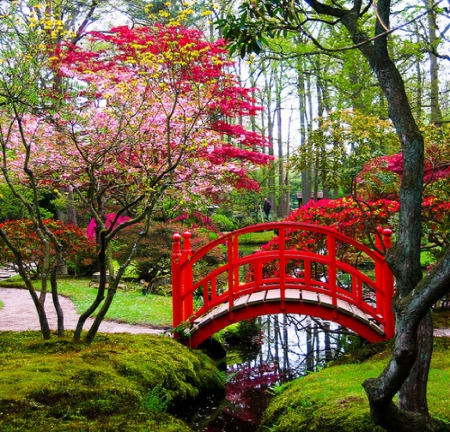 Japanese garden - nature, japanese, garden, spring